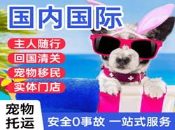 潮汕航空邮寄国际宠物托运 【国